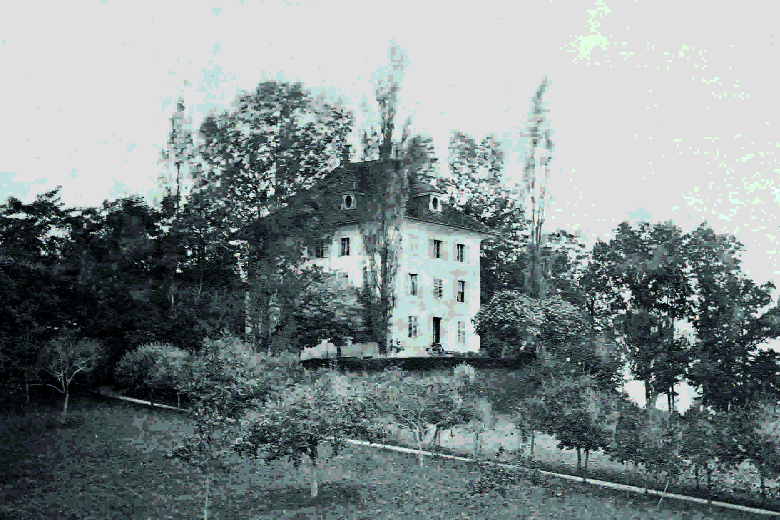 RWM_1870_DSC09133k